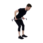 Barbell Bent Over Row