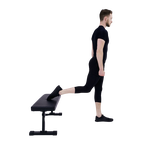 Bulgarian Split Squat